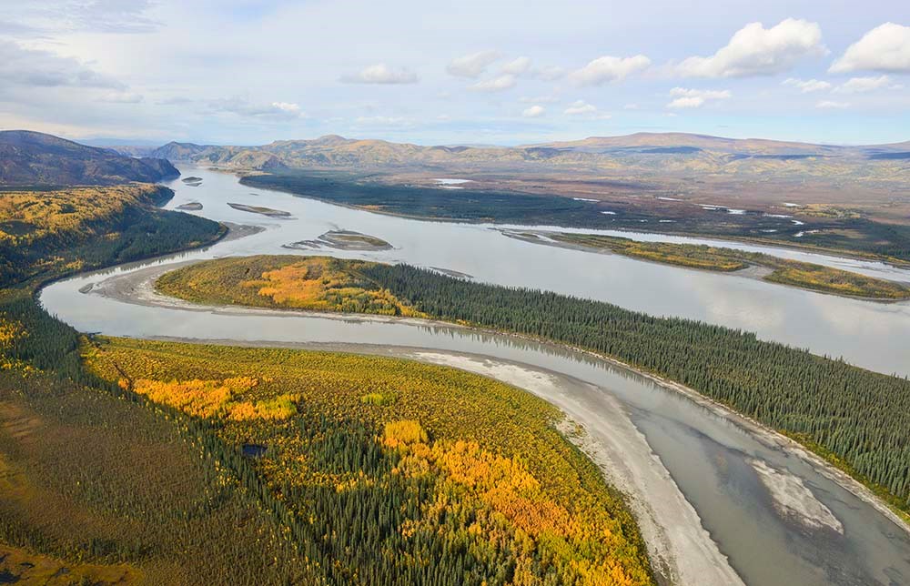 A large, braided river with forest in fall color.