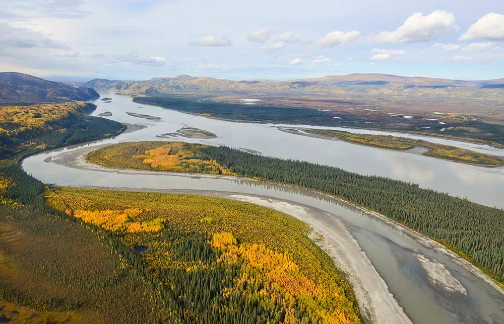 YUCHYukonRFallColorsJSpice006_web A large, braided river with forest in fall color.