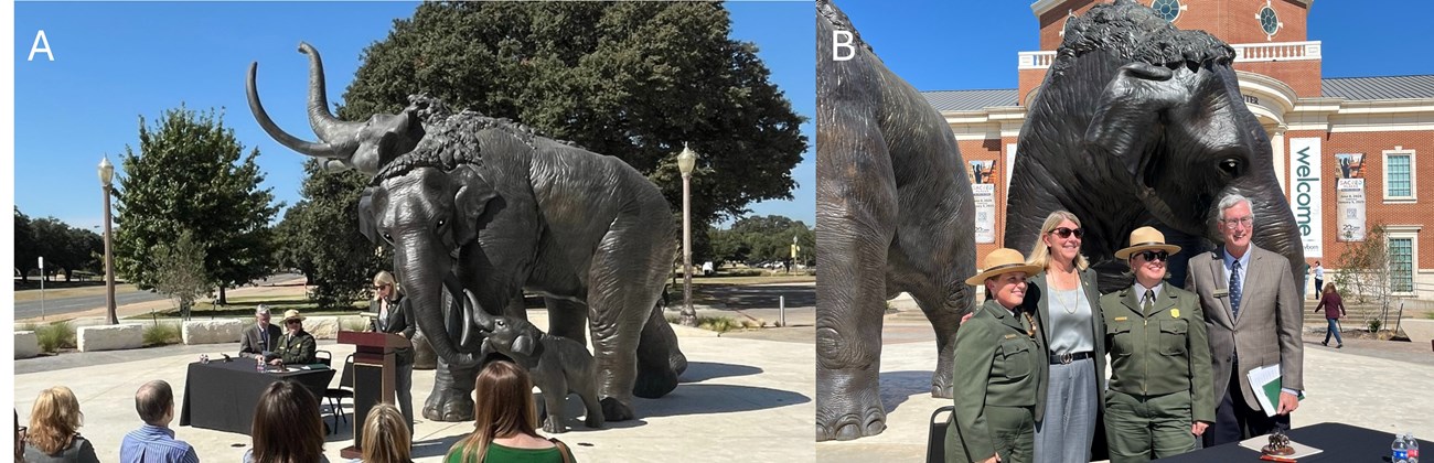 Yann_WACO_figure_1 Left image shows Baylor University President speaking in front of 3 bronze mammoth statues. Right image shows site paleontologist and superintendent with Baylor University President and Mayborn Museum Complex Director in front of a bronze mammoth.