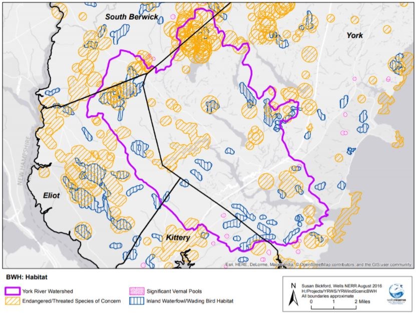 One Beginning with Habitat map shows significant vernal pools, locations of endangered, threatened or species of concern, and inland waterfowl/wading bird habitat (tidal waterfowl/wading bird habitat not included). Since 2016, even more vernal pool habita