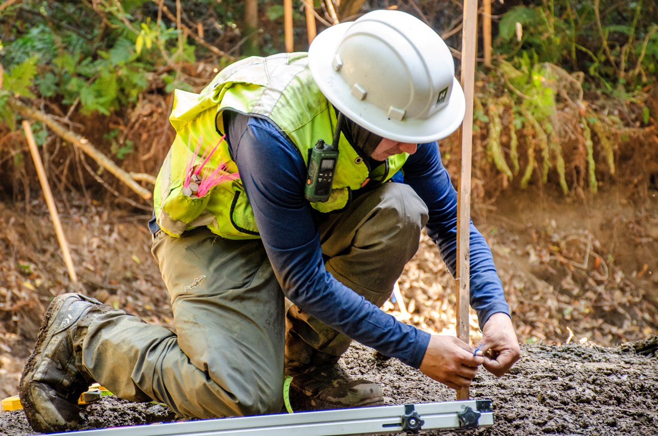 Jeffrey in a hard hat and safety vest down on the ground on one knee tying blue flagging tape around the bottom of a wooden stake.