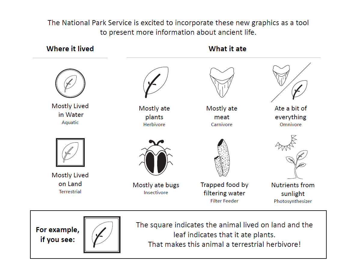 Zaz_Figure 4 Icons used to indicate habitat (circle for aquatic, square for terrestrial) and diet (leaf for herbivore, tooth for carnivore, tooth and leaf for omnivore, beetle for insectivore, sponge for filter feeder, and sun for photosynthesizer)