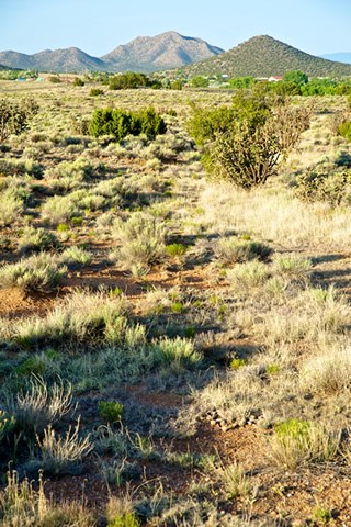Wagon ruts are still visible along the path of El Camino Real, near La Ciénega, New Mexico. Photo © Jack Parsons. Wagon ruts are still visible along the path of El Camino Real, near La Ciénega, New Mexico. Photo © Jack Parsons.