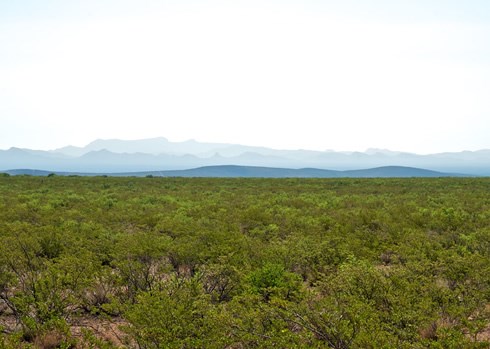 A vast expanse of mesquite, tarbush and creosote defines the well-trod terrain through Yost Draw on El Camino Real. Photo © Jack Parsons A vast expanse of mesquite, tarbush and creosote defines the well-trod terrain through Yost Draw on El Camino Real. Photo © Jack Parsons