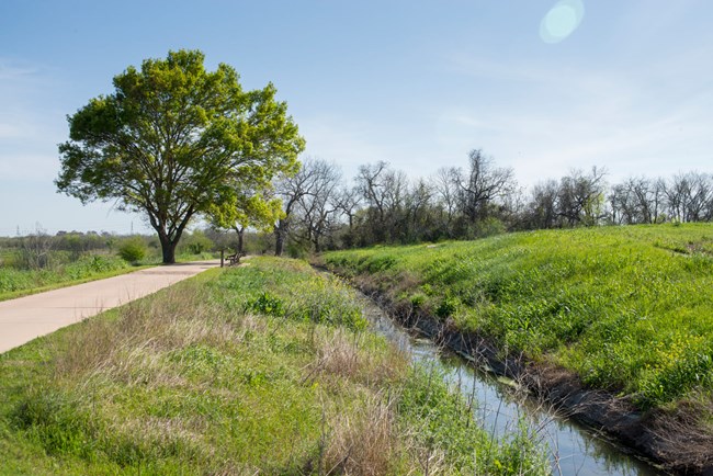 Acequia runs along path, past a medium sized tree.