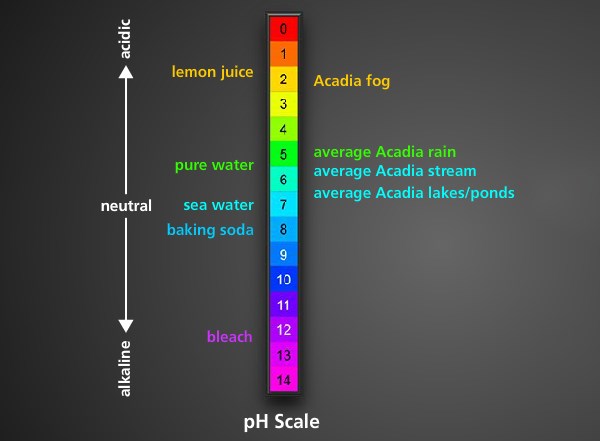 A pH scale ranging from 0 (acidic) to 14 (alkaline). Water samples found at Acadia are labeled: Acadia fog 2, average Acadia rain 5, average Acadia stream 6, average Acadia lake/pond 6.5