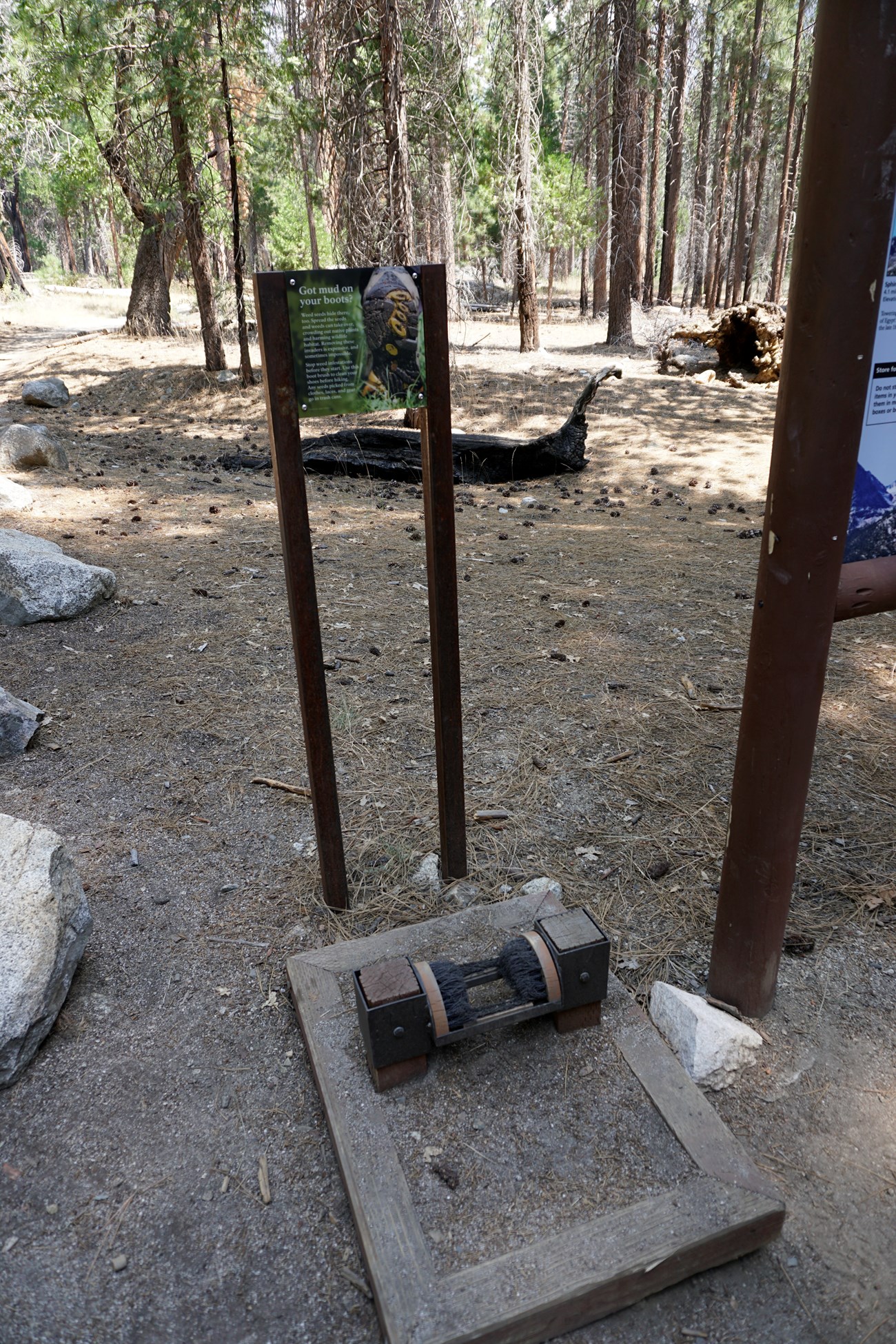 A boot brush mechanism to remove invasive species off one's boot at a trailhead with trees in the background.
