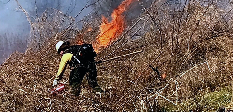 Alicia Schlarb A firefighter in full protective gear uses a driptorch to ignite dead and down vegetation.