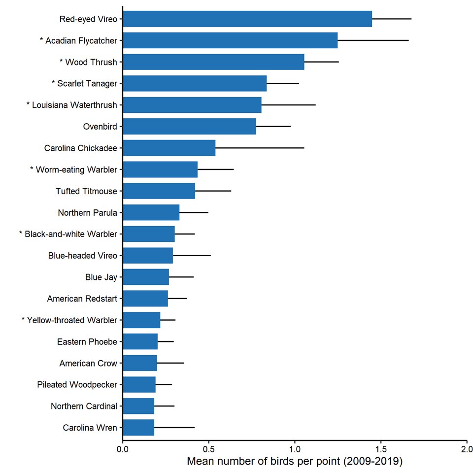 A blue bar chart of the abundance of the the twenty most abundant streamside bird species at the park. A blue bar chart of the abundance of the the twenty most abundant streamside bird species at the park.