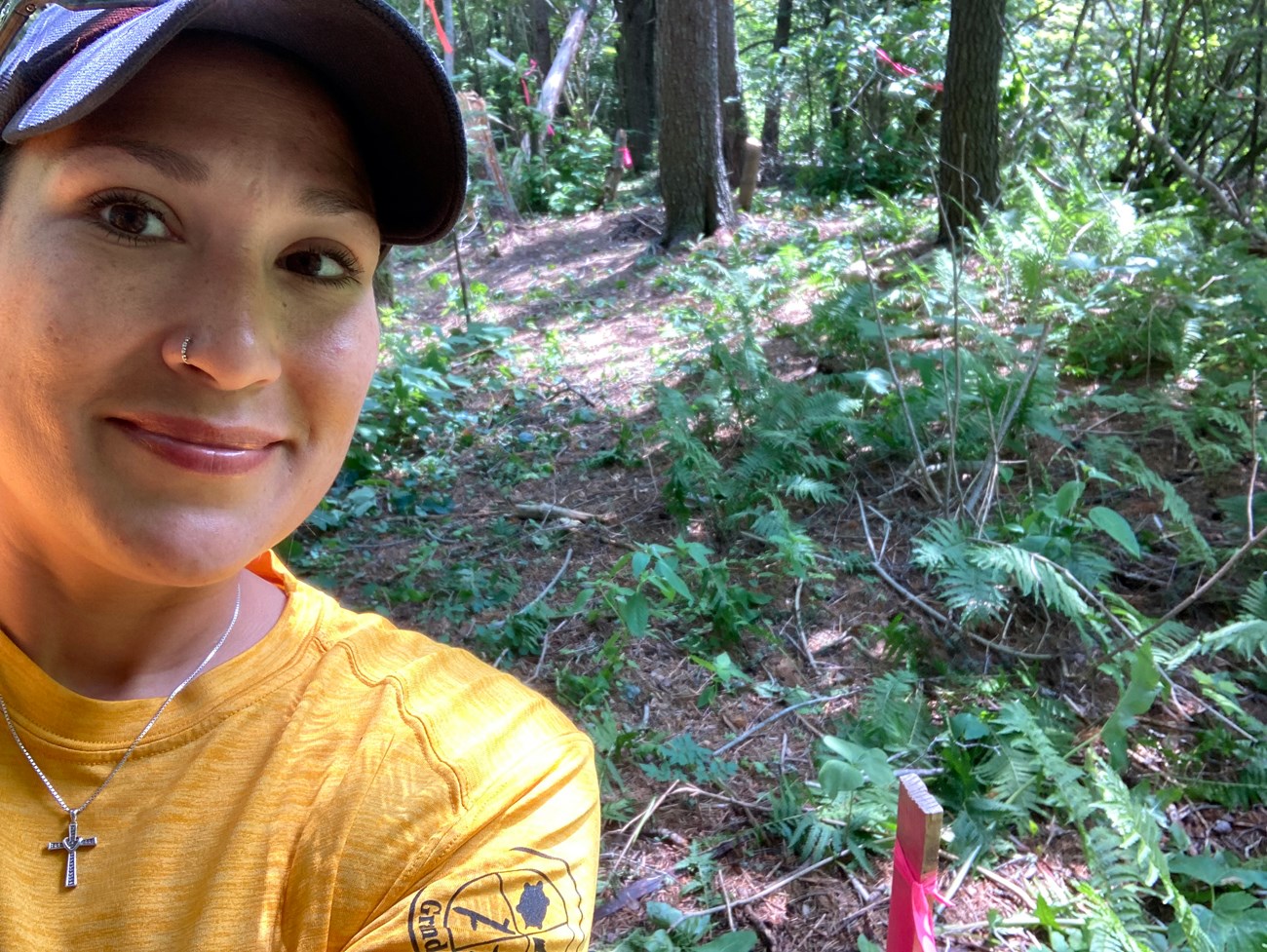 arch survey Head and shoulders of a person wearing a gall cap and yellow shirt in front of a forest with pink flag markers on the ground.