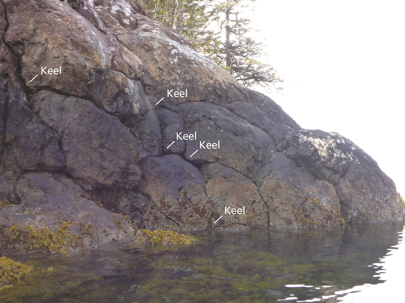 Photo of a rock cliff along a shoreline with rounded pillow basalts exposed and labels for the keels where three pillows meet.