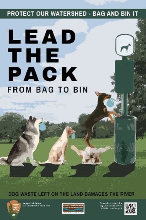 The bag to bin poster developed for use in the park that reads: Lead the Pack from Bag to Bin. The poster shows three dogs (all of different breeds) lined up to drop their bagged waste into the bin. The first dog in line is standing on another dog's back. The bag to bin poster developed for use in the park that reads: Lead the Pack from Bag to Bin. The poster shows three dogs (all of different breeds) lined up to drop their bagged waste into the bin. The first dog in line is standing on another dog's back.