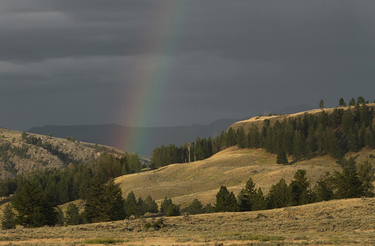 dark storm clouds over rolling hills with grass and trees