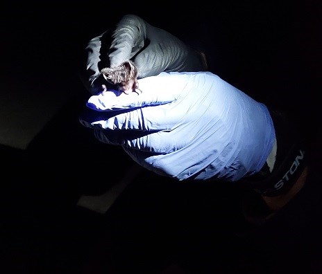 A bat face A tiny, furry, brown, bat head peaks over a gloved hand. Another gloved hand gently rests on its back.