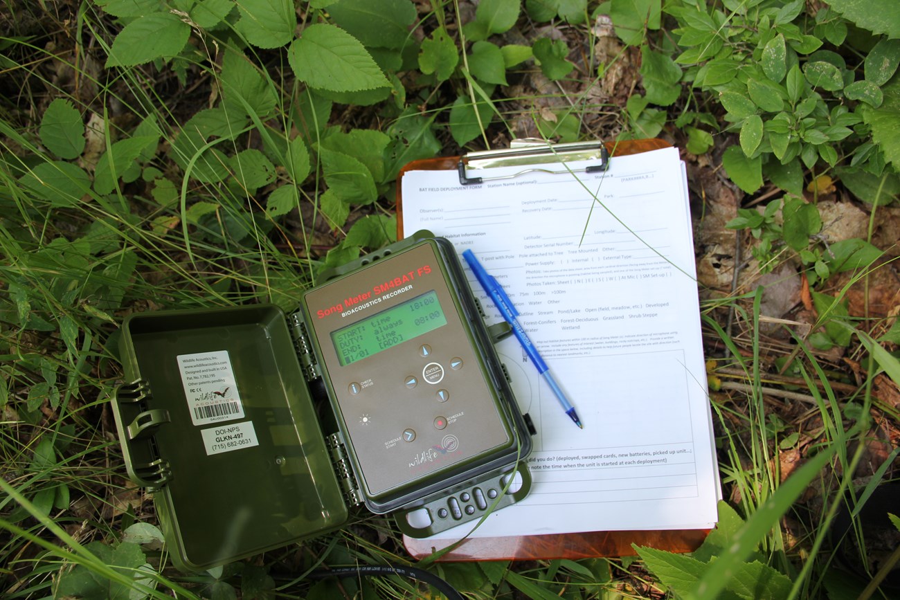 A green device and a clipboard with white paper laying in the grass.