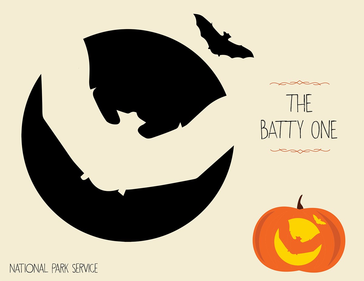 Art project for carving pumpkins with a bat stencil and example of it on a jack o' lantern. Text reads The Batty One. National Park Service."