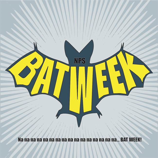 batweek digital illustration of a bat with the words NPS Bat Week nanananananana Bat Week.