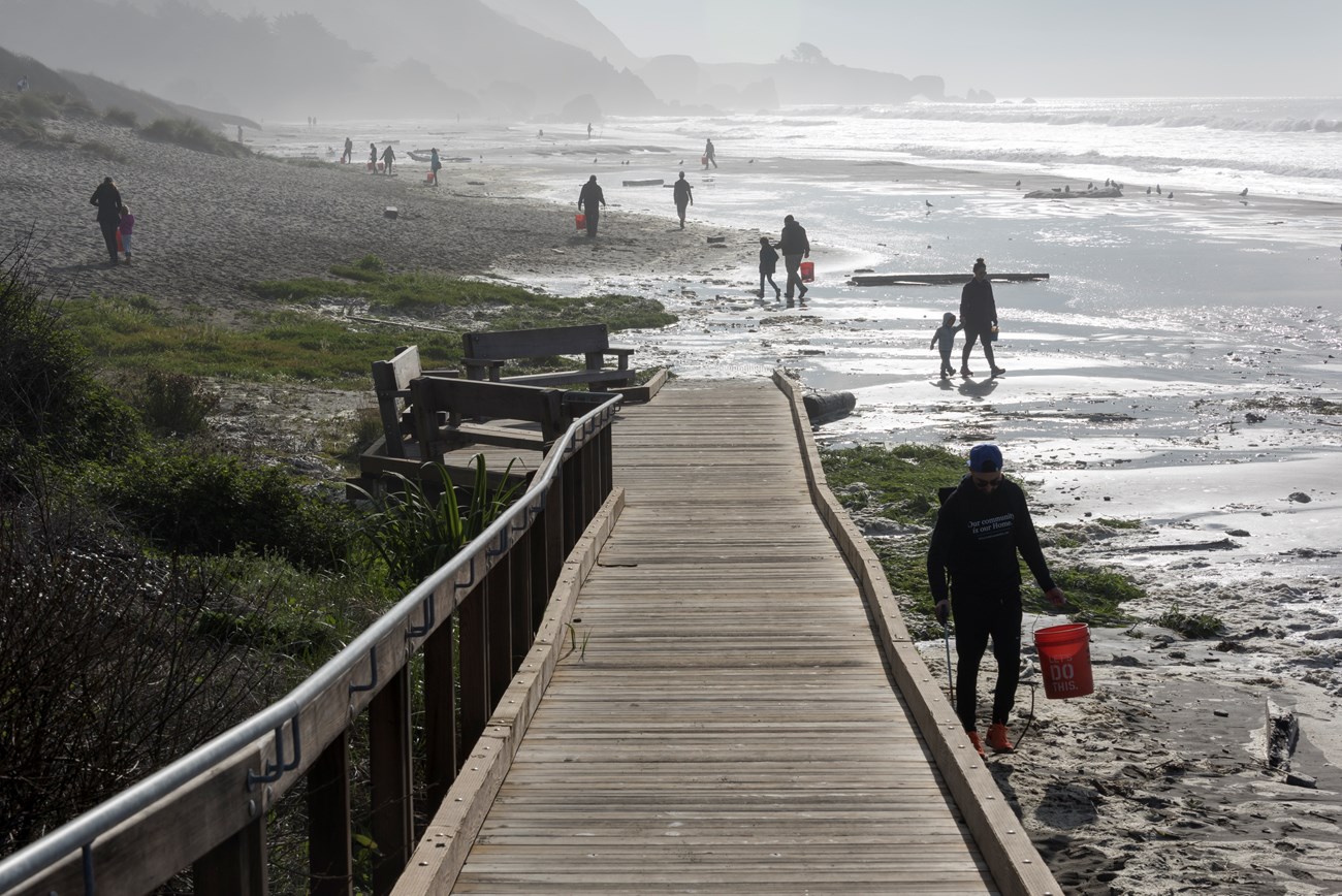 volunteers carry buckets as they clean up a beach