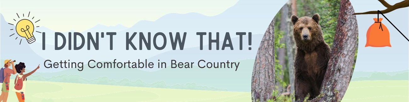 a title banner for I Didn't Know That! Getting Comfortable in Bear country with image of a bear