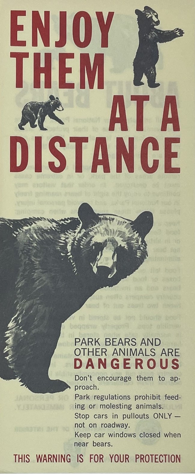 Yellow "Enjoy THem at a Distance" pamphlet with picture of a bear