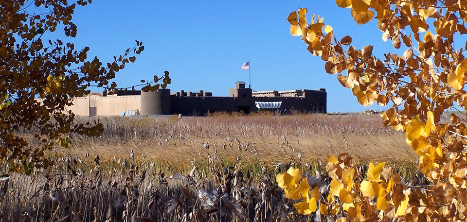 Bent's Old Fort National Historic Site Walls of an old fort viewed through fall leaves and a field of milkweed pods open with seed.