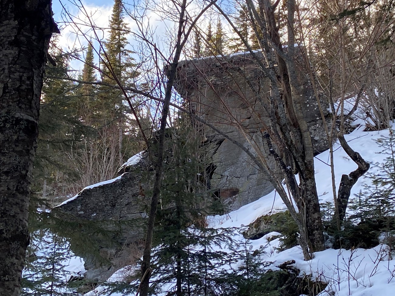 Dark gray rock on a hill in a snowy forest.