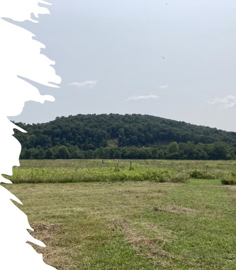 Hopewell Culture National Historical Park a densely forested hill with grasslands in the foreground