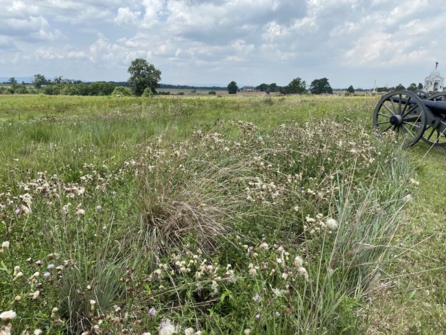 Gettysburg Grasslands grasslands extend out from a cannon and monument