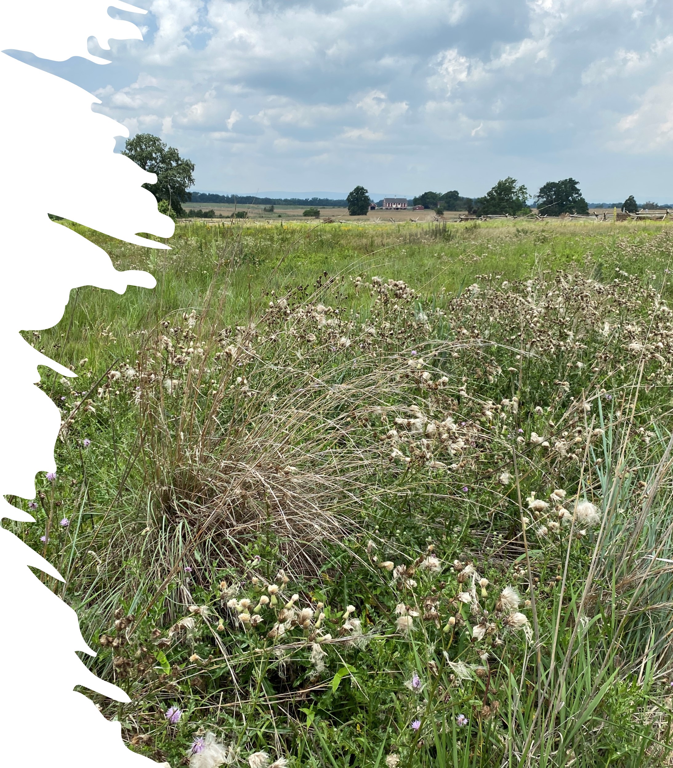 Project Profile Restore Grasslands in Appalachian Parks (U.S. National