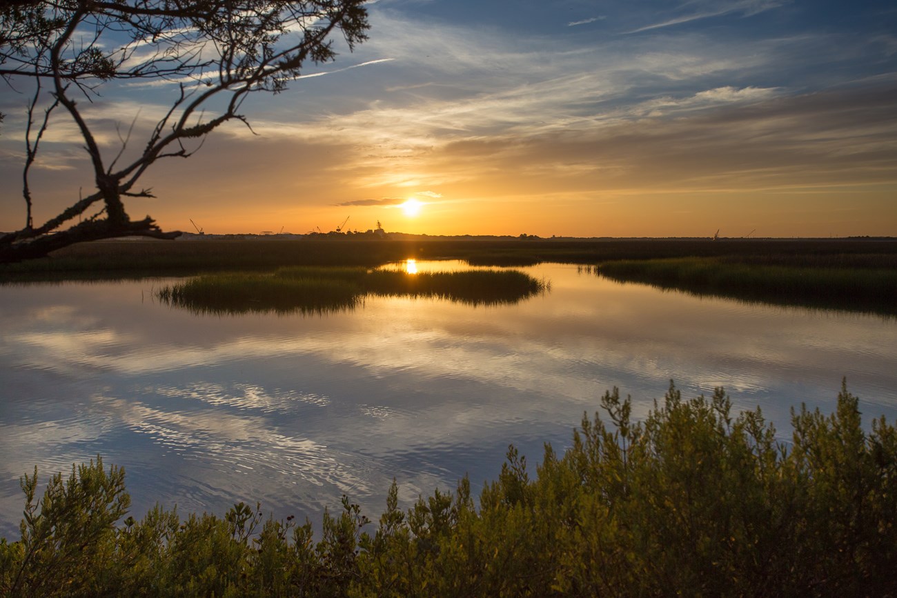 bil-er-timu-coastal-resiliency A sunsetting over a marsh with aquatic grasses.