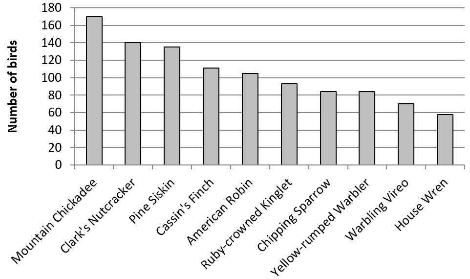 Chart of the most common bird species that were found