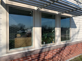 bird-friendly-windows