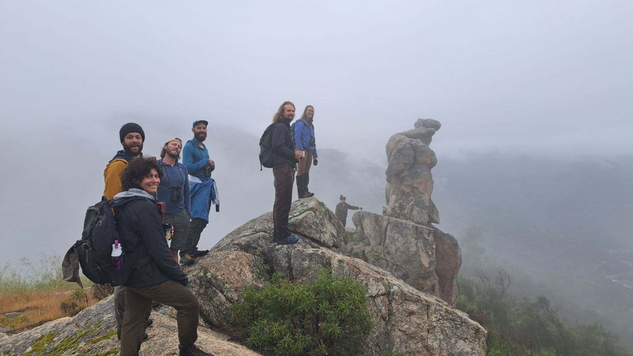 Bird monitoring crew, Institute for Bird Populations Seven people stand along the top of a granite rock outcrop on a foggy day.