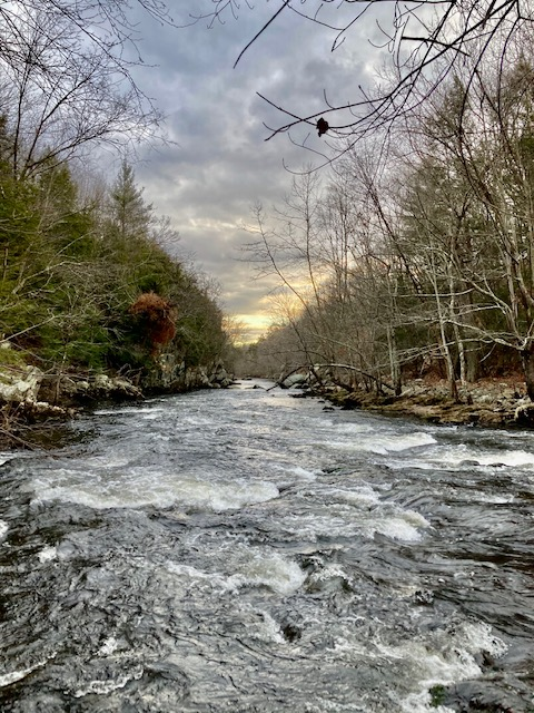 Coursing river with wooded banks. Sunset over horizon above river.