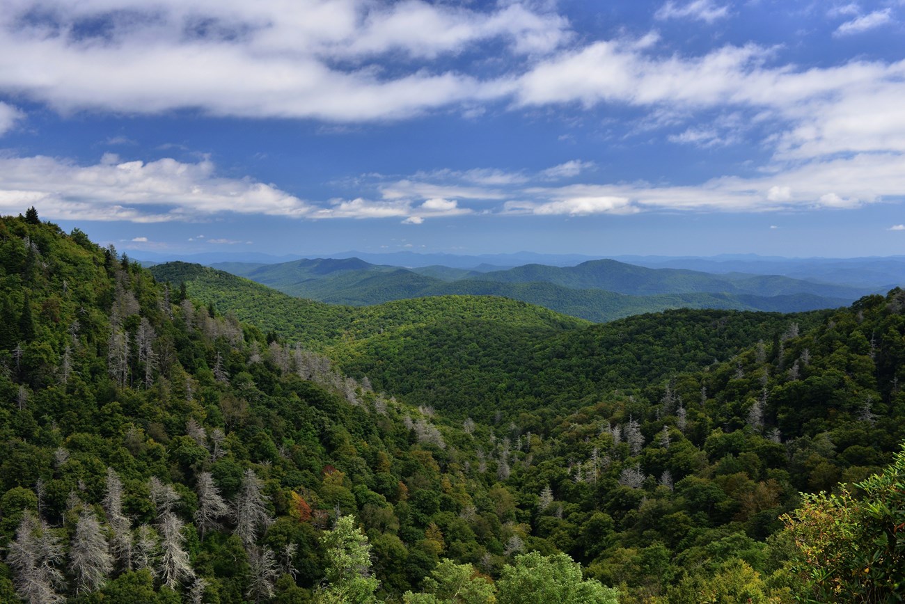 East Fork Parking Overlook View from the top of a mountain with rolling hills filled with green trees.