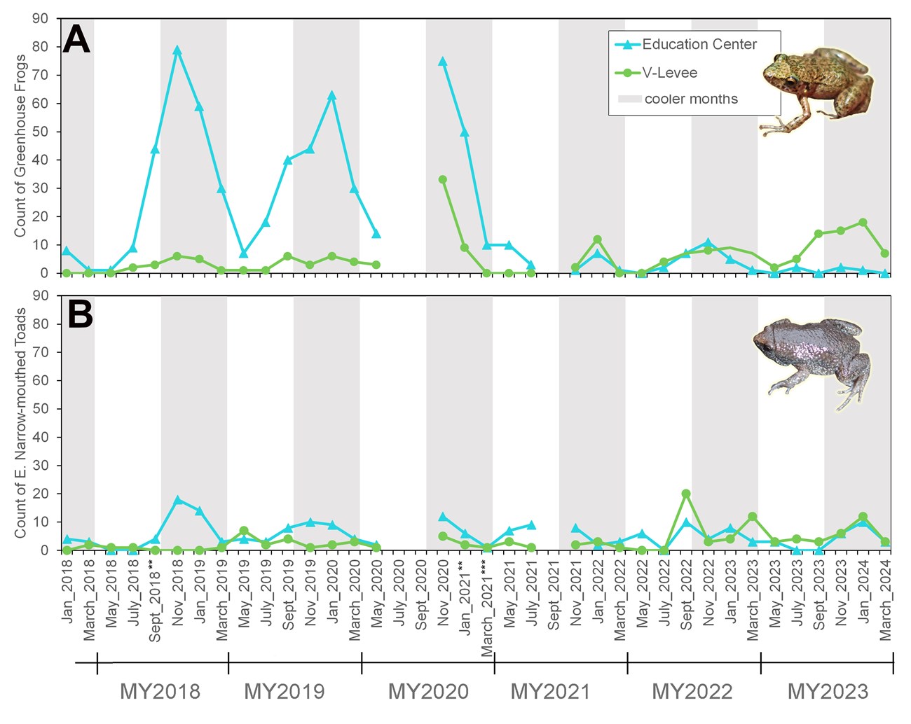 Captures of two amphibian species found under coverboards at Barataria Preserve, May 2018-March 2024 Figure of amphibian captures under coverboards over time at Barataria Preserve