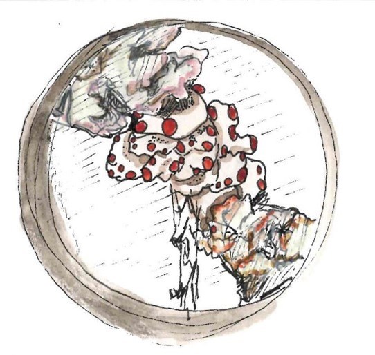 boreal felt lichen illustration Illustration of a small lichen that is white with red spots.