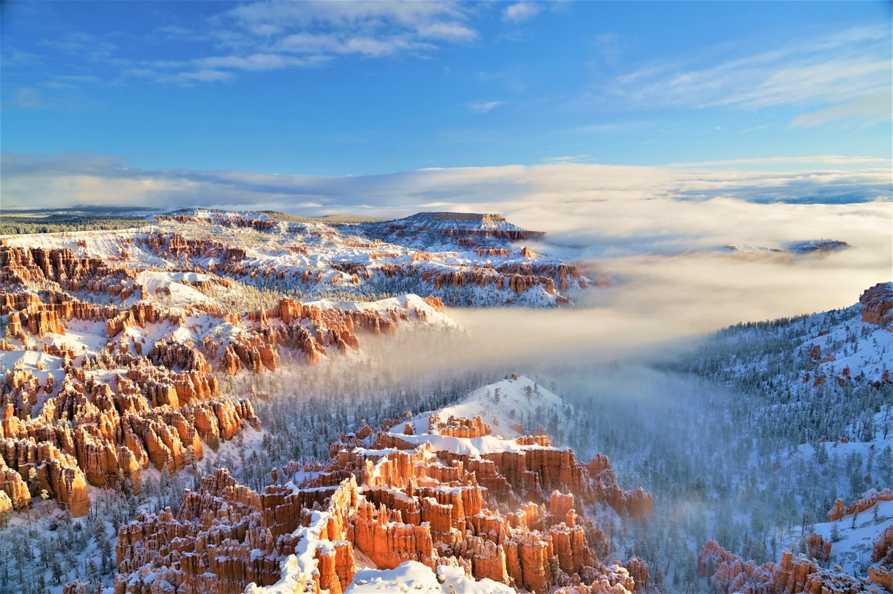 snow blankets the orange hoodos in the bryce canyon amphitheater. The sun peaks through low clouds lighting up areas of the hoodoos