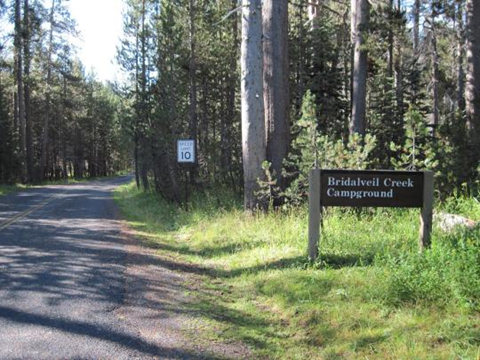 a wooden sign nestled in the grass next to a small road reads Bridalveil Campground
