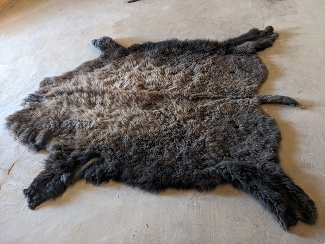 The #1 trade good at Bent's Fort in the 1830s and 1840s A buffalo robe is stretched out on the floor of a fort room