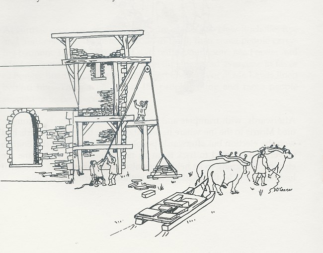 Drawing, with oxen, men, scaffolding and partially constructed  building