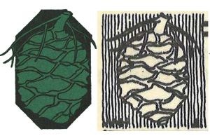 Line drawings of two sequoia cones