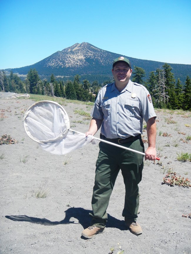 butterflies_CLNPTerrEcologistSeanMohren_edited Park service employee stands in the field, holding a butterfly net.