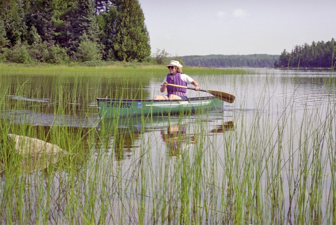 A blond woman paddles a canoe in a large wetland full of reeds. She wears a hat, t-shirt, shorts, and purple life vest.