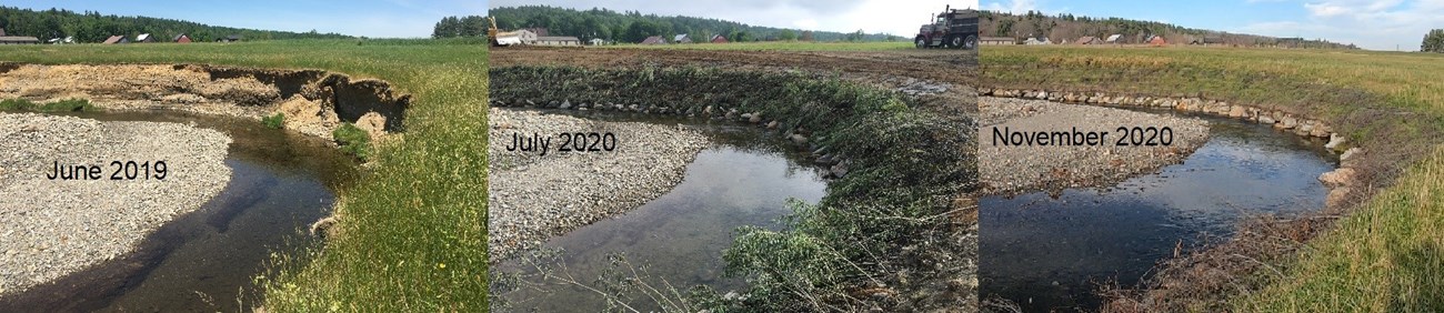 Photo of bank stabilization over time provided by Lindsey Wight of UMATR. Photo of bank stabilization over time provided by Lindsey Wight of UMATR.