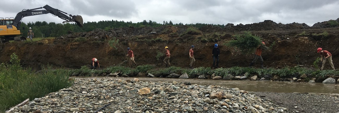 Photo of crew laying willows and fabric provided by Lindsey Wight of UMATR. Photo of crew laying willows and fabric provided by Lindsey Wight of UMATR.