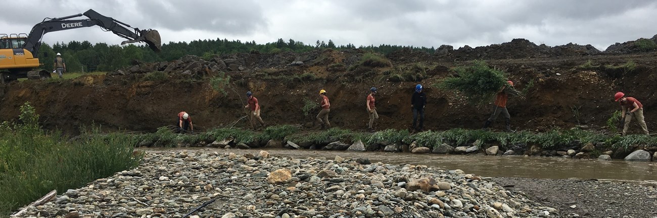 Photo of crew laying willows and fabric provided by Lindsey Wight of UMATR.