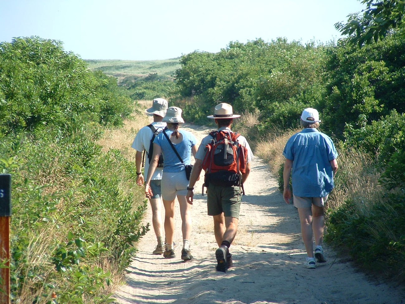 A ranger and three visitors walk down a trail, surrounded by bushes and grasses