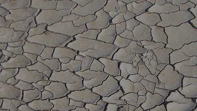 mudcracks create jagged shapes in dried badlands mud