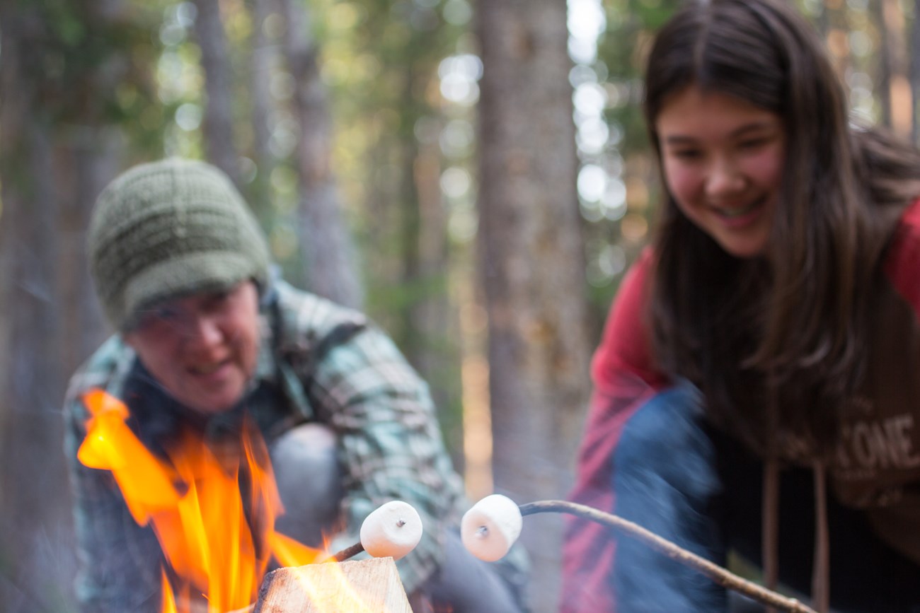 Roasting marshmallows two people roast marshmallows over a fire